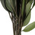 Vickerman 18 inch Green Weeping Willow Eucalyptus Foliage, 5 oz Bundle, Preserved