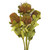 Vickerman 14-16 inch Banksia Coccinea Basil, 4 Stem Bunch, Preserved