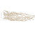 Vickerman Natural Botanicals 32 inch Begun Tree, Bleached Includes 5 pieces per Pack