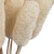Vickerman Natural Botanicals 20 inch Luffa on Stem, Bleached Includes 25 Stems per Pack