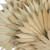 Vickerman Natural Botanicals 20 inch Palm Sun Spear, Natural Includes 50 pieces per Pack