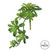 Vickerman Vickerman 11 inch Artificial Green Aeonium Spray Includes 3 sprays per pack