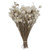 Vickerman Natural Botanicals 14 inch x 5 inch Everlasting Shiny White hammer 60 grams per unit