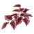 Vickerman Artificial Red Begonia Hanging Bush