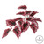 Vickerman Artificial Red Begonia Hanging Bush