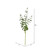Vickerman Artificial Money Leaf Spray