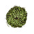 Vickerman Artificial Boston Fern Ball