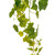  Vickerman Artificial Green Grape Leaf Ivy Hanging Bush 