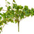  Vickerman Artificial Green Ivy Hanging Bush 