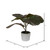 Vickerman Artificial Fiddle Leaf Fig Plant in Pot