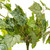  Vickerman Artificial Grape Leaf Ivy Hanging Bush 