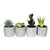 Vickerman Artificial Assorted Potted Artificial Succulents