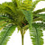  Vickerman Artificial Green Boston Fern Bush 