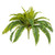  Vickerman Artificial Green Boston Fern Bush 