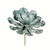 Vickerman 9.5 Peperomia Succulent Asst 3/Pk