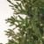  Vickerman Kamas Fraiser Fir Artificial Color Changing Christmas Tree 