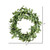Vickerman 22 inch Artificial Lamb Ear Leaves Wreath