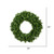 Vickerman Artificial Douglas Fir Wreath Unlit