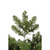 Vickerman Teton Double S Festoon Artificial Christmas Garland