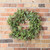Vickerman 24 inch Artificial Green Olive Leaf Wreath
