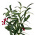 Vickerman Red Berry and Mistletoe Collection