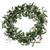 Vickerman Red Berry and Mistletoe Collection