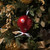 Vickerman Candy Dot Balloon Ornament Candy Ornament