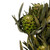 Vickerman 12 inch Green Salignum, Female, 7 oz Bundle, Preserved
