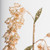  Vickerman 20" Pearl Glitter Hanging Foxglove Aritificial Christmas Spray 