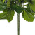  Vickerman Artificial Kalanchoe Bush 