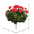  Vickerman Artificial Polyester Geranium Bush 