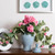  Vickerman Artificial Geranium Hanging Bush 