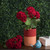  Vickerman 18" Artificial Geranium Bush 