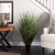  Vickerman Artificial Green Curled Grass 