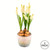  Vickerman 10" Artificial Hyacinths in Container 