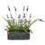  Vickerman Artificial Lavender Flower Fern in Iron Pot 