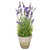  Vickerman Artificial Lavender Topiary 