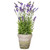  Vickerman Artificial Lavender Topiary 
