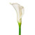  Vickerman Artificial 26" Calla Lily Stem 