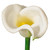  Vickerman Artificial 26" Calla Lily Stem 