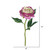  Vickerman Artificial Peony Rose Stem 