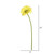  Vickerman Artificial Gerbera Daisy Stem 