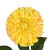  Vickerman Artificial Zinnia Stem 