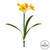  Vickerman Artificial Narcissus Spray 