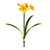  Vickerman Artificial Narcissus Spray 