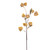  Vickerman 30.5" Dried Lantern Spray 