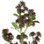  Vickerman 31" Artificial Wild Berry Spray 