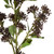  Vickerman 31" Artificial Wild Berry Spray 