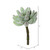  Vickerman Artificial Crassula Pick 