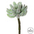  Vickerman Artificial Crassula Pick 